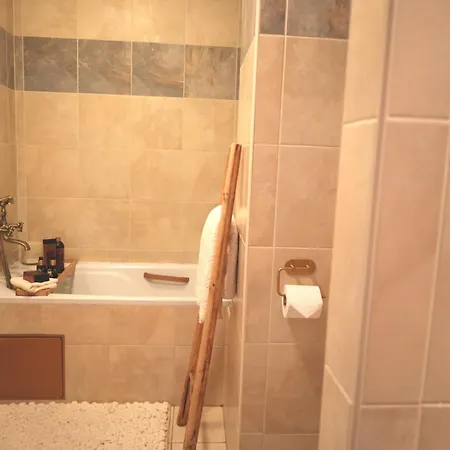 Vienna Gate Apartment, Free Parking 布拉迪斯拉发
