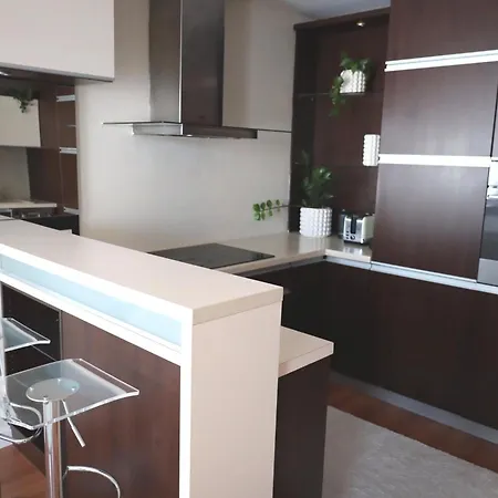 Vienna Gate Apartment, Free Parking 布拉迪斯拉发
